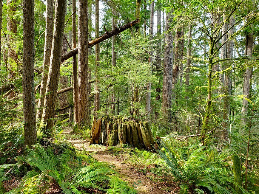 Preston Trail — Washington Trails Association